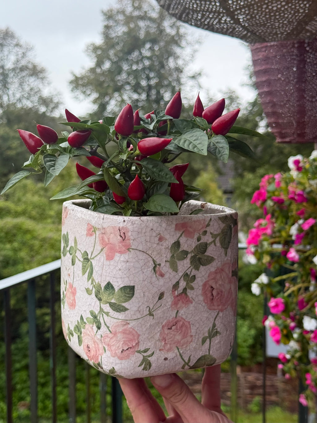 Vintage plantenbak rozen