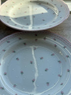 4st roosjes & stipjes borden