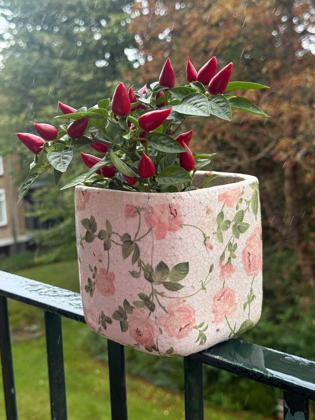 Vintage plantenbak rozen